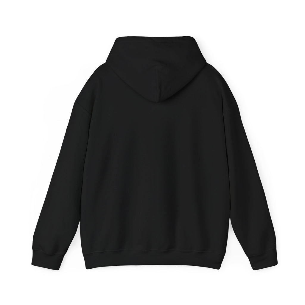 Plague Watch Plague Doctor Hoodie in Black — back view